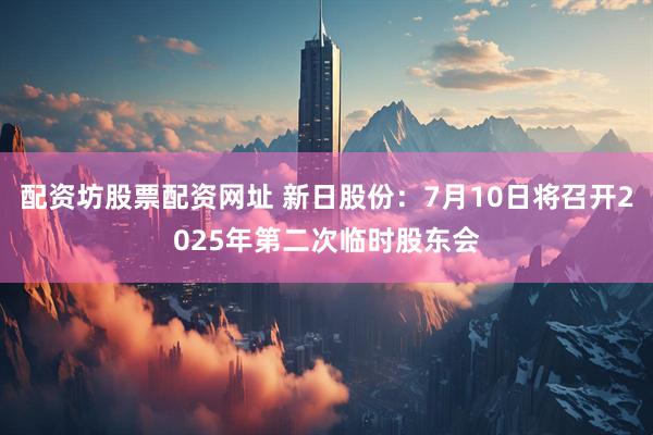 配资坊股票配资网址 新日股份：7月10日将召开2025年第二次临时股东会