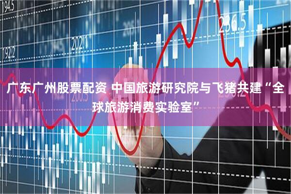 广东广州股票配资 中国旅游研究院与飞猪共建“全球旅游消费实验室”