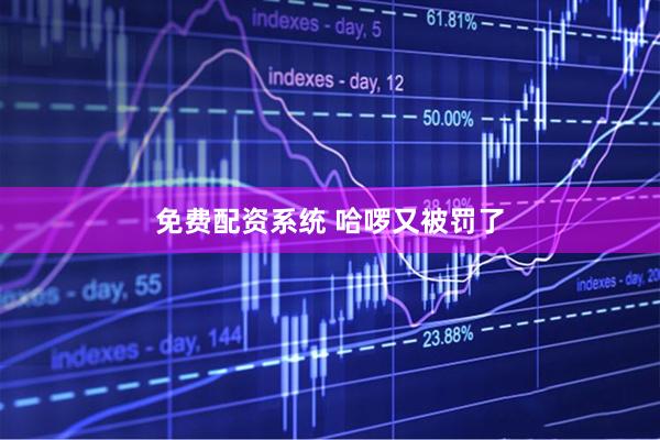免费配资系统 哈啰又被罚了